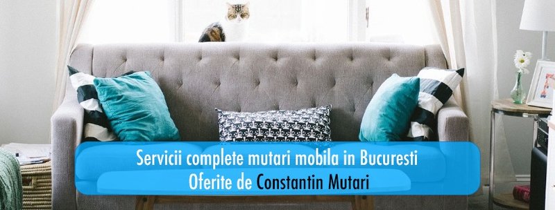 Constantin Mutari - mutari mobila